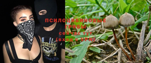 jwh Алзамай