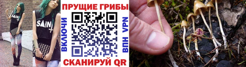 наркотики Пикалёво Псилоцибиновые грибы мухоморы